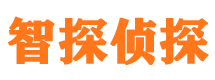 都兰市私家侦探